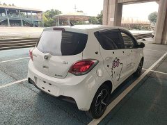 Changan Benben E-Star 2020 Heartbeat Edition ternary lithium - фото 7