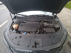 Ruicheng PLUS 2023 1.5T DCT premium - фото 20