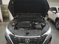 Changan EADO 2023 Enjoy Edition PLUS Blue Whale NE 1.4T GDI DCT Premium Edition - фото 20