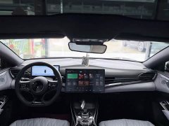 BYD 550km Standard Range EditionPremium Version - фото 10