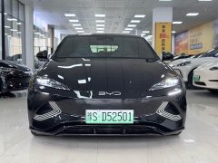BYD 550km Standard Range EditionPremium Version - фото 2