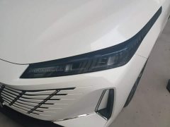 Changan Eado Blue Whale 1.5T 500Bar Premium Type - фото 18