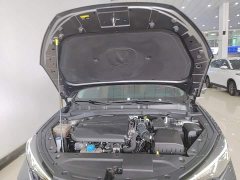 Changan EADO 2022 PLUS Blue Whale NE 1.4T GDI DCT Premium Edition - фото 20