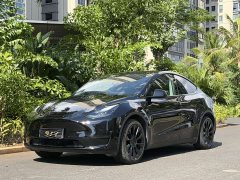 Tesla Model Y Edition - фото 1