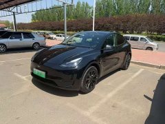 Tesla Model Y Edition - фото 10