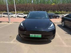 Tesla Model Y Edition - фото 11