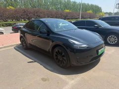 Tesla Model Y Edition - фото 12