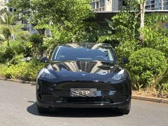 Tesla Model Y Edition - фото 2