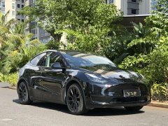 Tesla Model Y Edition - фото 3