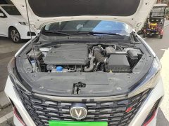 Changan EADO PLUS Blue Whale NE 1.4T GDI DCT Ultimate Edition - фото 20