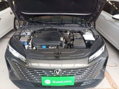 Changan Eado 1.5T GDI automatic flagship - фото 19