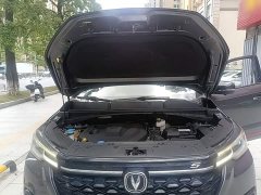 Changan CS55PLUS Blue Whale Edition 1.5T DCT Premium Type - фото 20