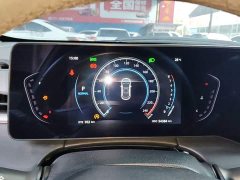 Ruicheng PLUS 1.5T DCT premium - фото 12