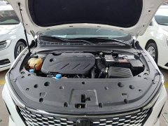 Ruicheng PLUS 1.5T DCT premium - фото 20