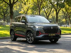 Changan CS35PLUS Enjoy Edition 1.4T DCT Luxury - фото 3