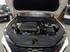 Changan Eado PLUS Blue Whale NE 1.4T GDI DCT Distinguished Edition - фото 20