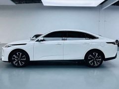 Changan Eado Blue Whale 1.5T 500Bar Premium Type - фото 9