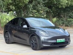 Tesla Model Y Edition - фото 2