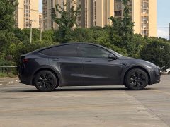Tesla Model Y Edition - фото 4