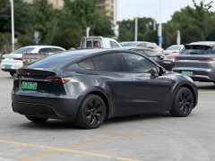 Tesla Model Y Edition - фото 6