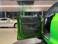 Audi RS Q8 RS Q8 4.0T - фото 9