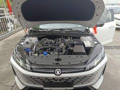 Changan 1.5T 500Bar Version - фото 19