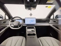 BYD Hiace 06 DM-i 205 Pilot Pro Edition - фото 18