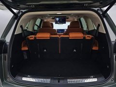WEY Lanshan 4WD Max - фото 15