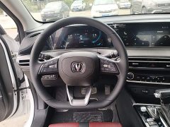 Changan EADO 2023 Enjoy Edition PLUS Blue Whale NE 1.4T GDI DCT Premium Edition - фото 11