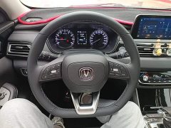 Ruicheng CC Blue Whale Edition 1.5T DCT Luxury - фото 11