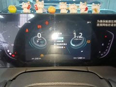 Ruicheng PLUS 2023 1.5T DCT premium - фото 4