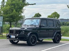 Mercedes-Benz G-Class G 350 - фото 1