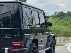 Mercedes-Benz G-Class G 350 - фото 19