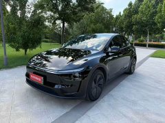 Tesla Model Y rear-wheel drive version - фото 1