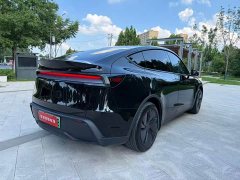 Tesla Model Y rear-wheel drive version - фото 6