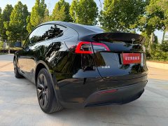 Tesla Model Y 2023 rear-wheel drive version - фото 6