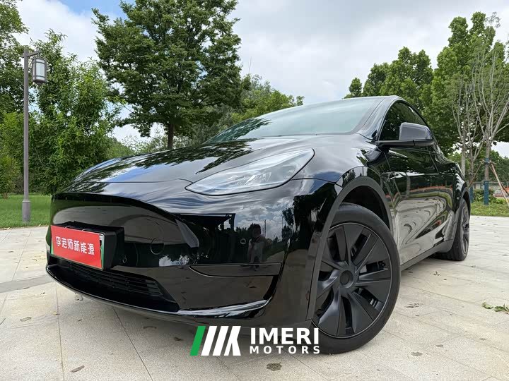 Tesla Model Y 2023 rear-wheel drive version - автомобиль из Китая