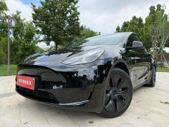 Tesla Model Y 2023 rear-wheel drive version - фото 1