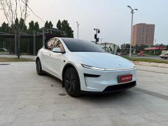 Tesla Model Y rear-wheel drive version - фото 3