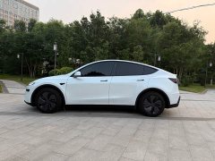 Tesla Model Y rear-wheel drive version - фото 5