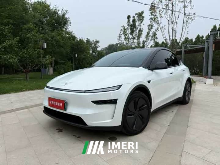 Tesla Model Y rear-wheel drive version - автомобиль из Китая