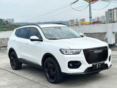 Haval H6 2.0GDIT Automatic GT Deluxe Edition - фото 3