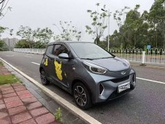Chery Little Ant 200,000 Ant Pink Vibrant Version Lithium Iron Phosphate 301km - фото 1