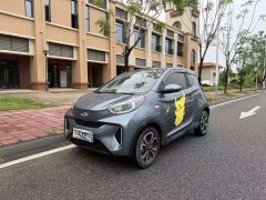 Chery Little Ant 200,000 Ant Pink Vibrant Version Lithium Iron Phosphate 301km - фото 3
