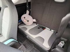 Chery Little Ant 200,000 Ant Pink Vibrant Version Lithium Iron Phosphate 301km - фото 5