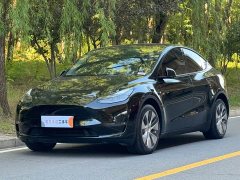 Tesla Model Y Long Range Edition - фото 1