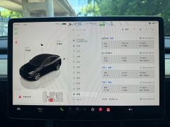 Tesla Model Y Long Range Edition - фото 11