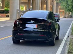 Tesla Model Y Long Range Edition - фото 12