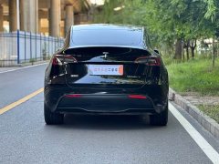 Tesla Model Y Long Range Edition - фото 13