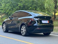 Tesla Model Y Long Range Edition - фото 14
